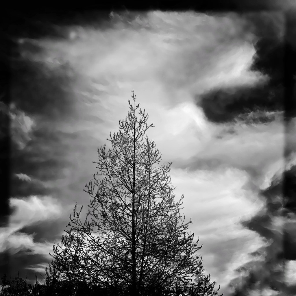 Another Day Of Cloud Watching and&nbsp;HAUSER