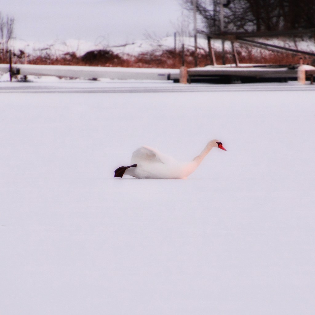 The Week In Seven&nbsp;Photos