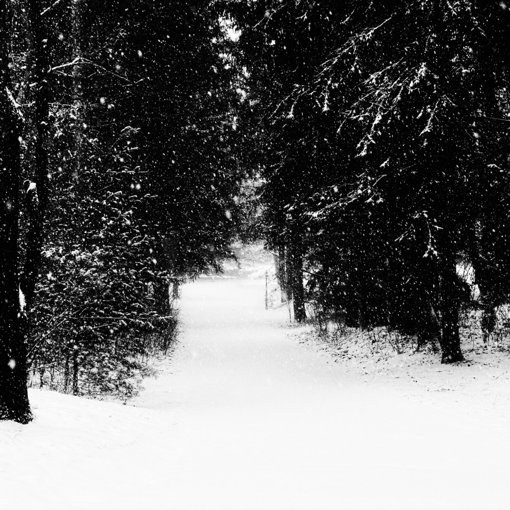 Yep, A False&nbsp;Spring