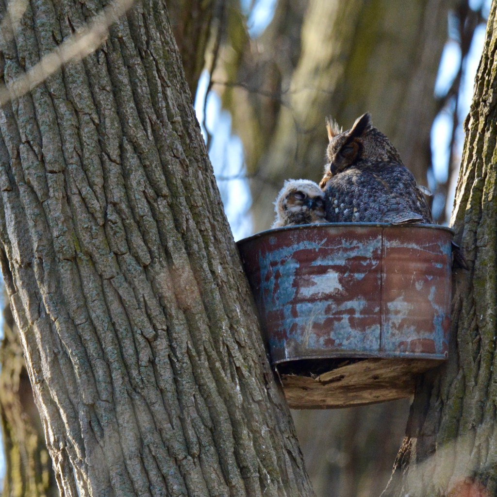 Photo Memory – Hoping To See The New Family&nbsp;Soon