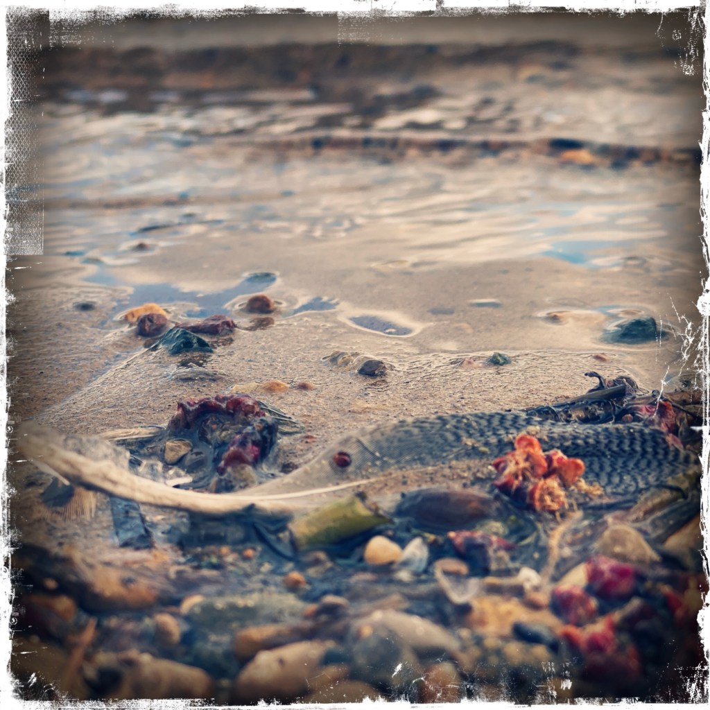 Beauty Isn’t Always&nbsp;Focused