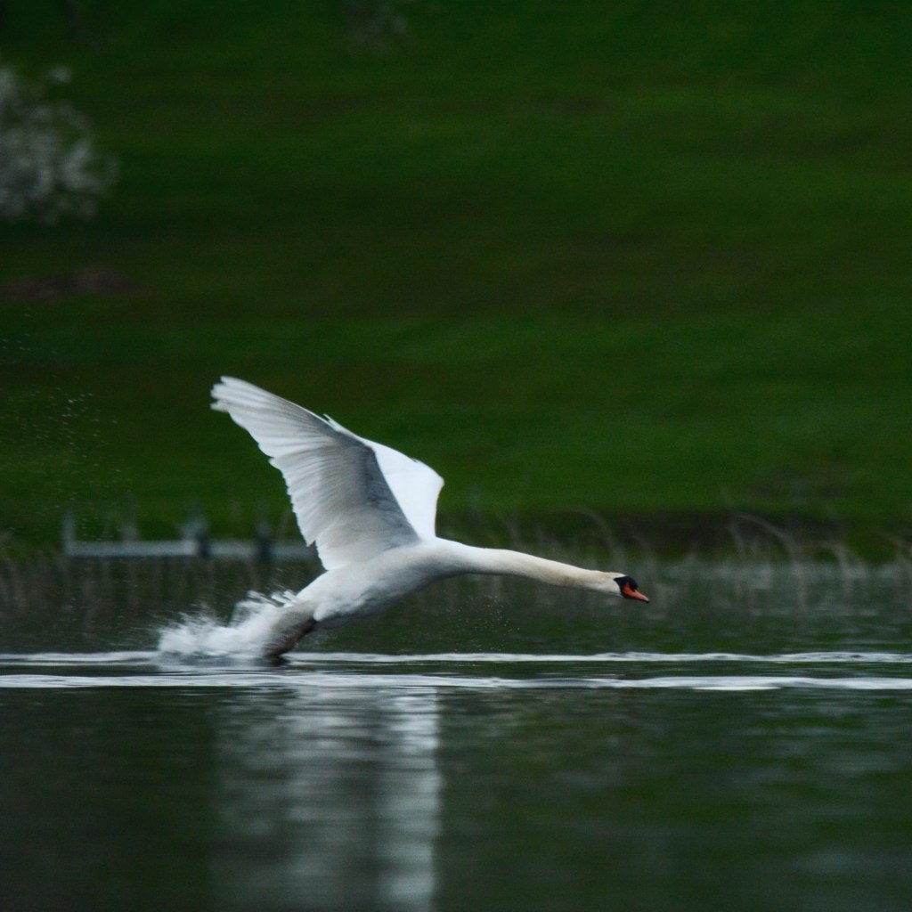 Decluttering The Photo&nbsp;Library