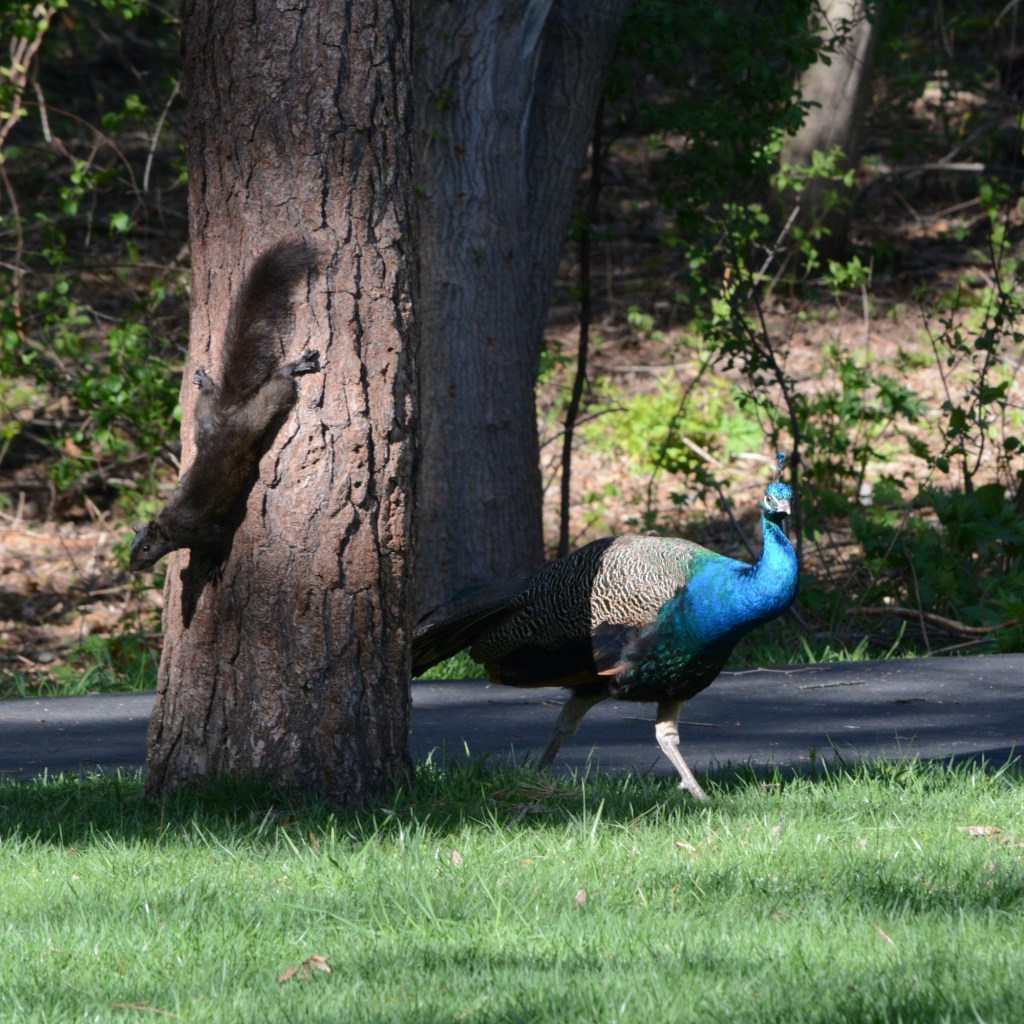 The Games They&nbsp;Play