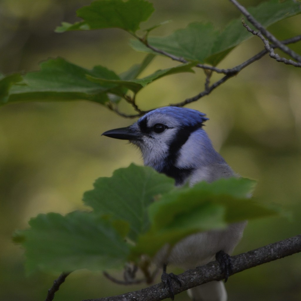 87 Degrees In May, God Help&nbsp;Me