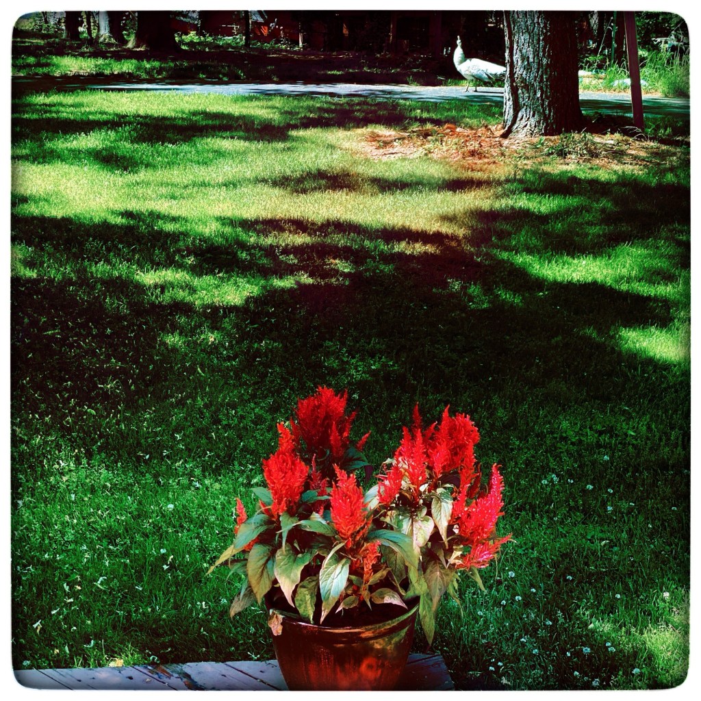 Spring Days And Good&nbsp;Music