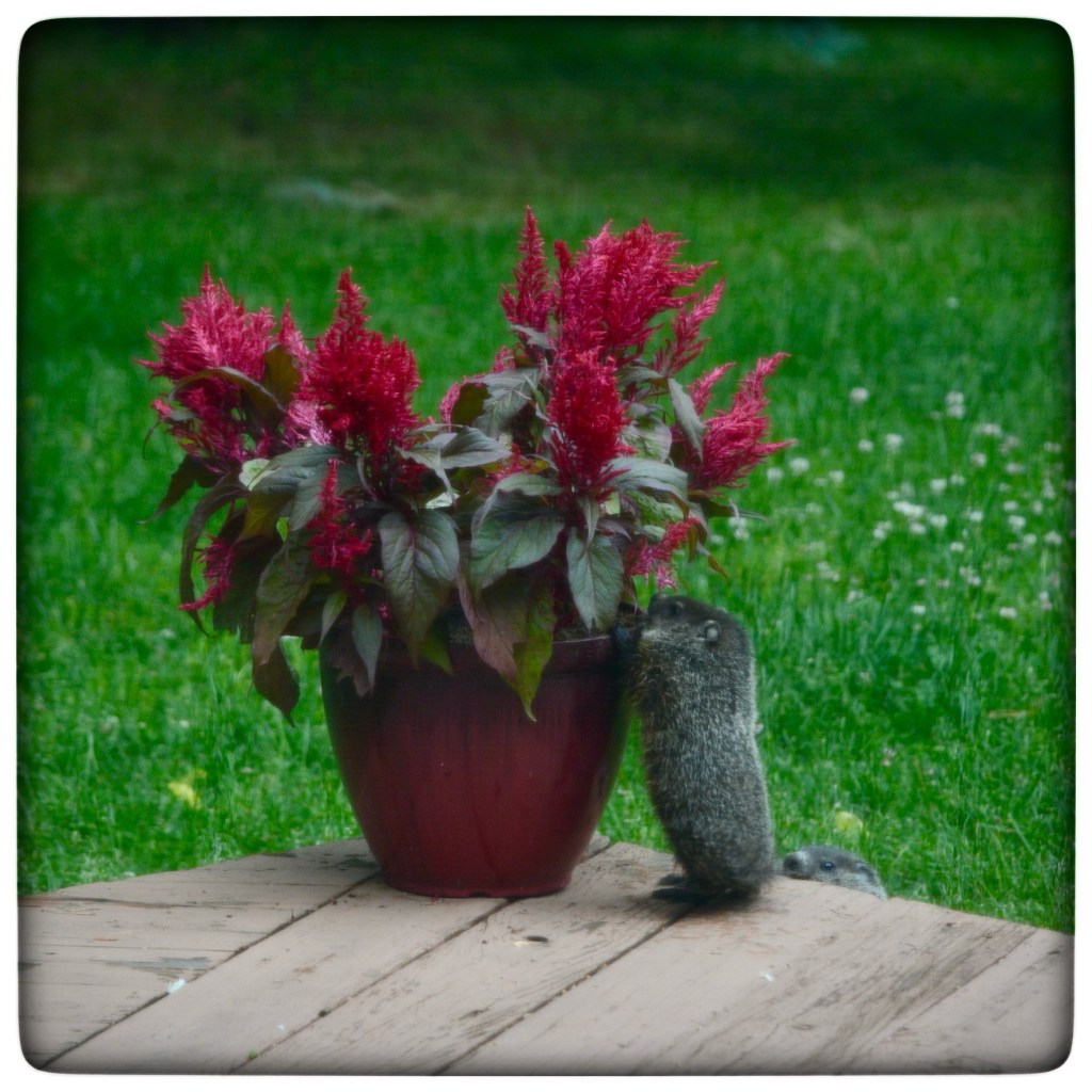 Spring Days And Good&nbsp;Coffee