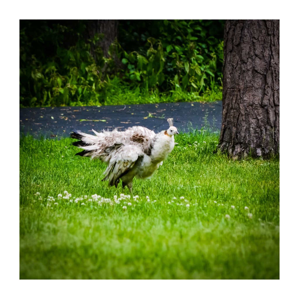 The Week In Seven&nbsp;Photos