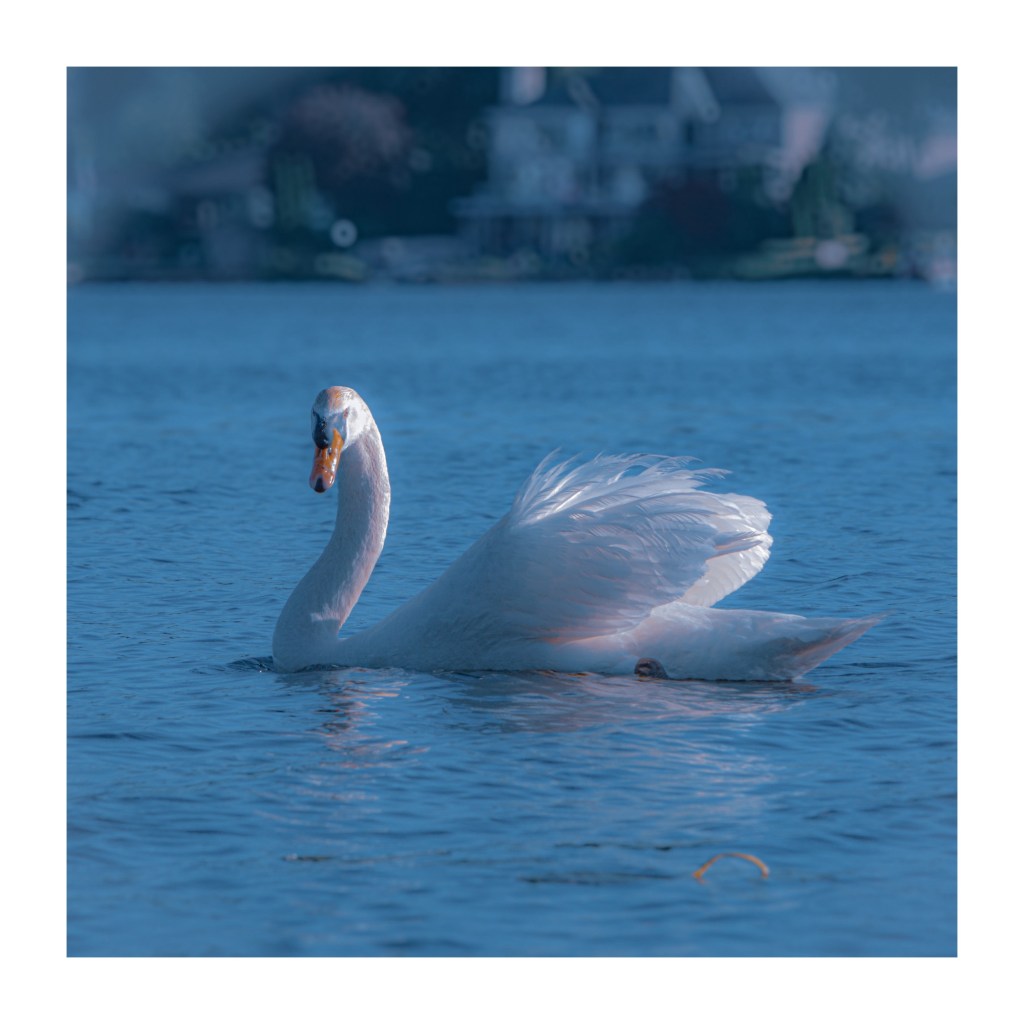 Summer Mornings And Good TV&nbsp;Shows