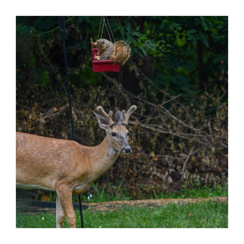 Summer Mornings And Good&nbsp;Books