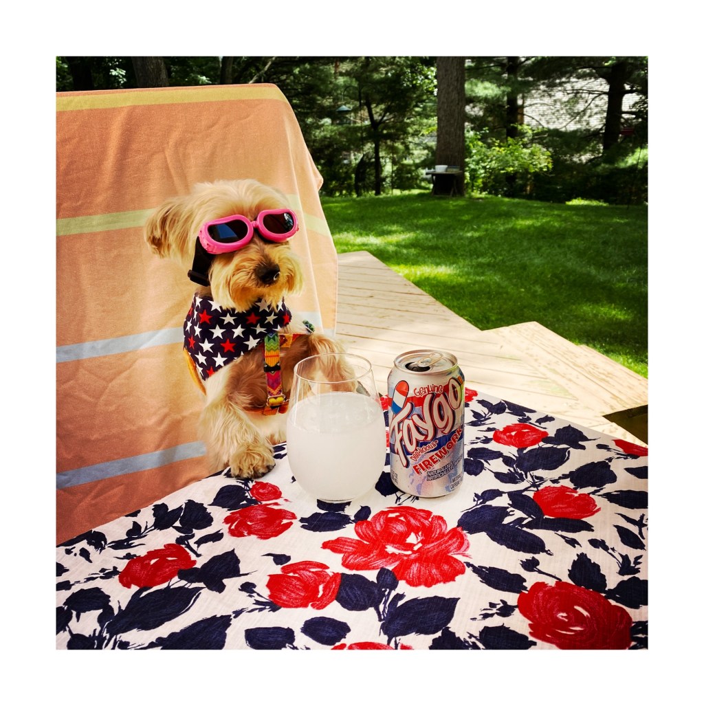 Dogs And Fireworks Don’t Mix, But Harper Would Accept A Month of Faygo Firework Pop and Springsteen Celebrations