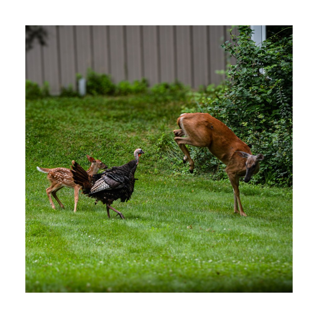 Summer Days And Good TV&nbsp;Shows