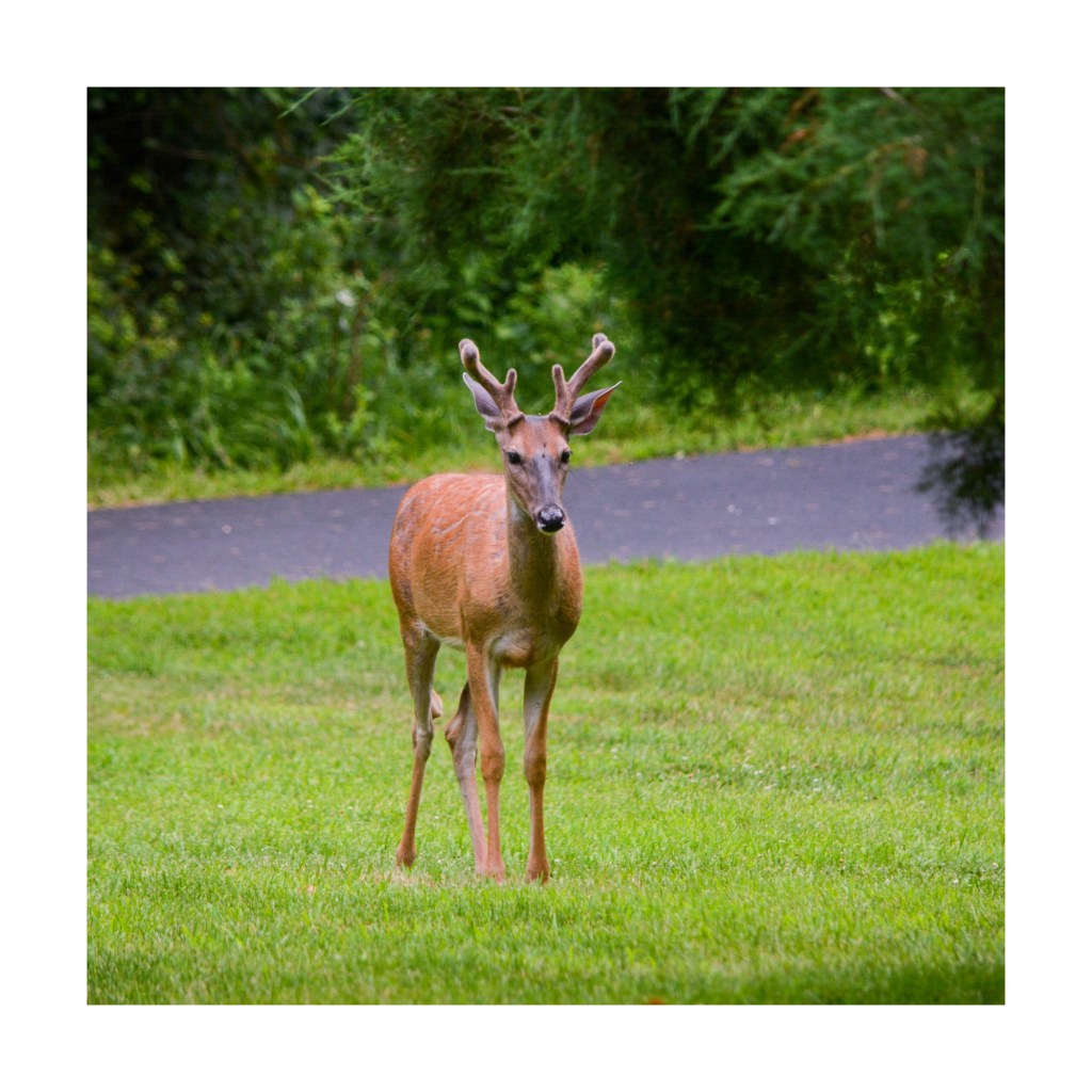 Summer Days And Good&nbsp;Music