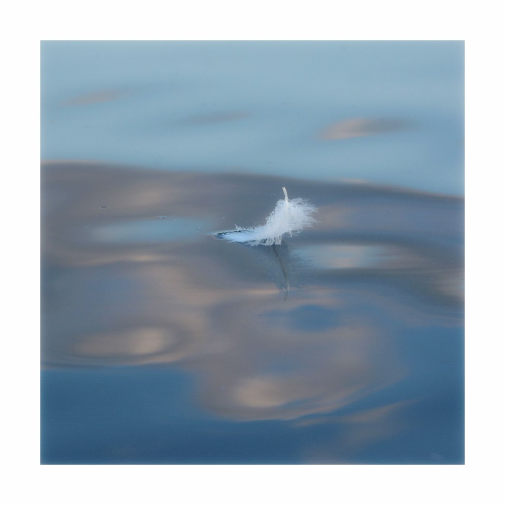 Feather Floating On A&nbsp;Cloud