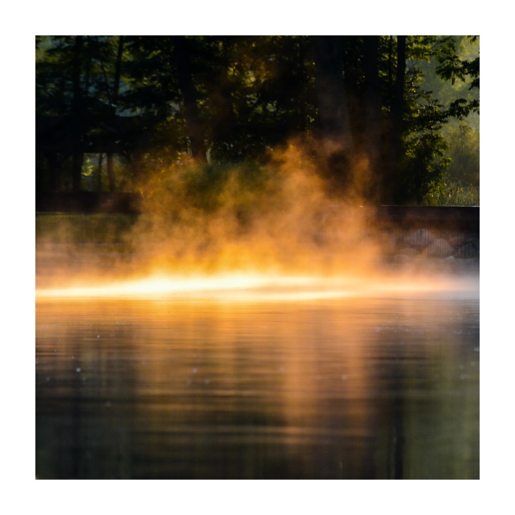 Woke Up This Morning As An Independent Voter Supporting Kamala Harris