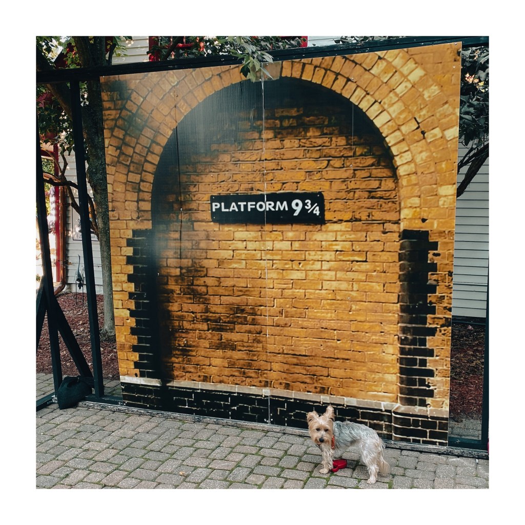 Harper, You Little Muggle, There’s No Magical Way To Escape Your New Puppy&nbsp;Friend