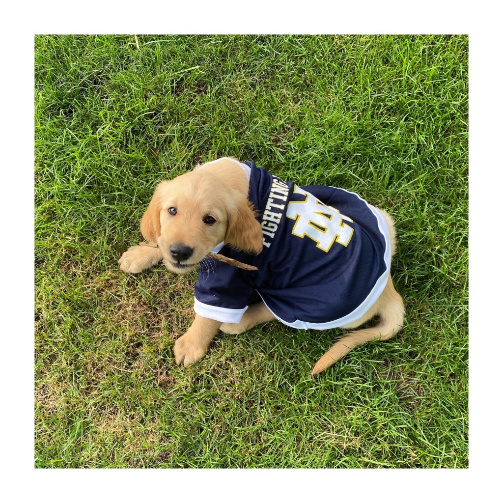 Countdown To Kickoff