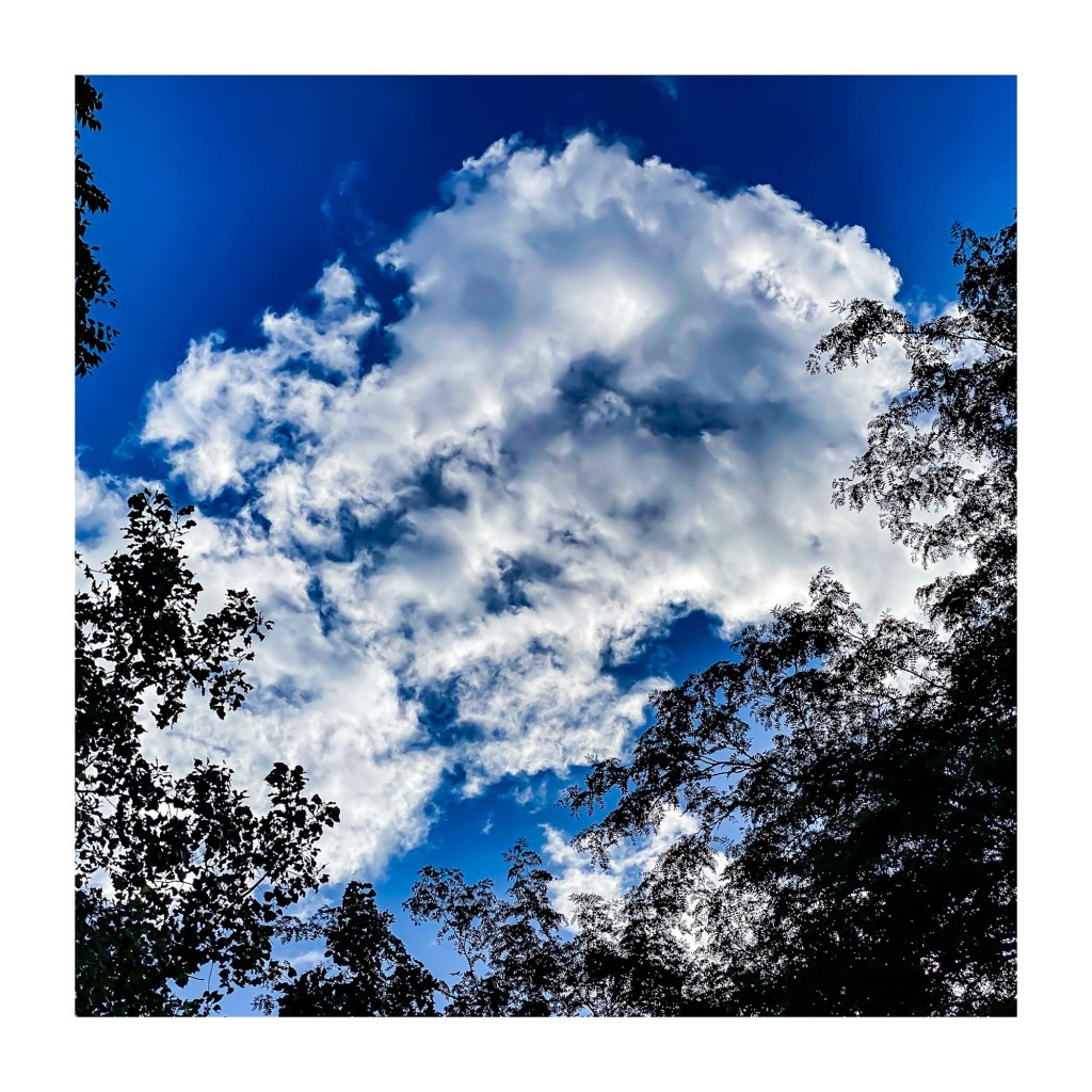 Monday Mystery – Can’t Stop Pondering The Movie Quote “Not Our World&nbsp;Anymore“