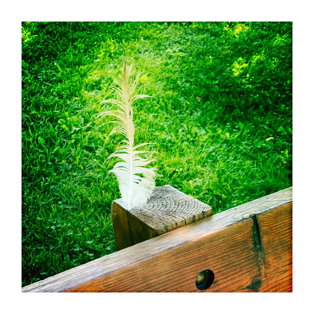 Trivial Tuesday – Pulp Fiction or Forrest Gump&nbsp;(1994)?