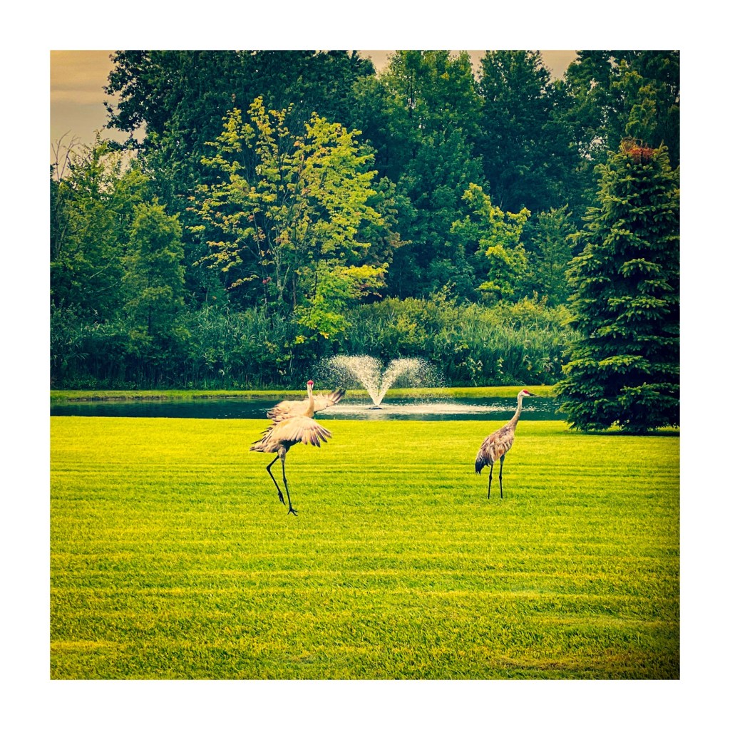 Summer Mornings And Good&nbsp;Movies