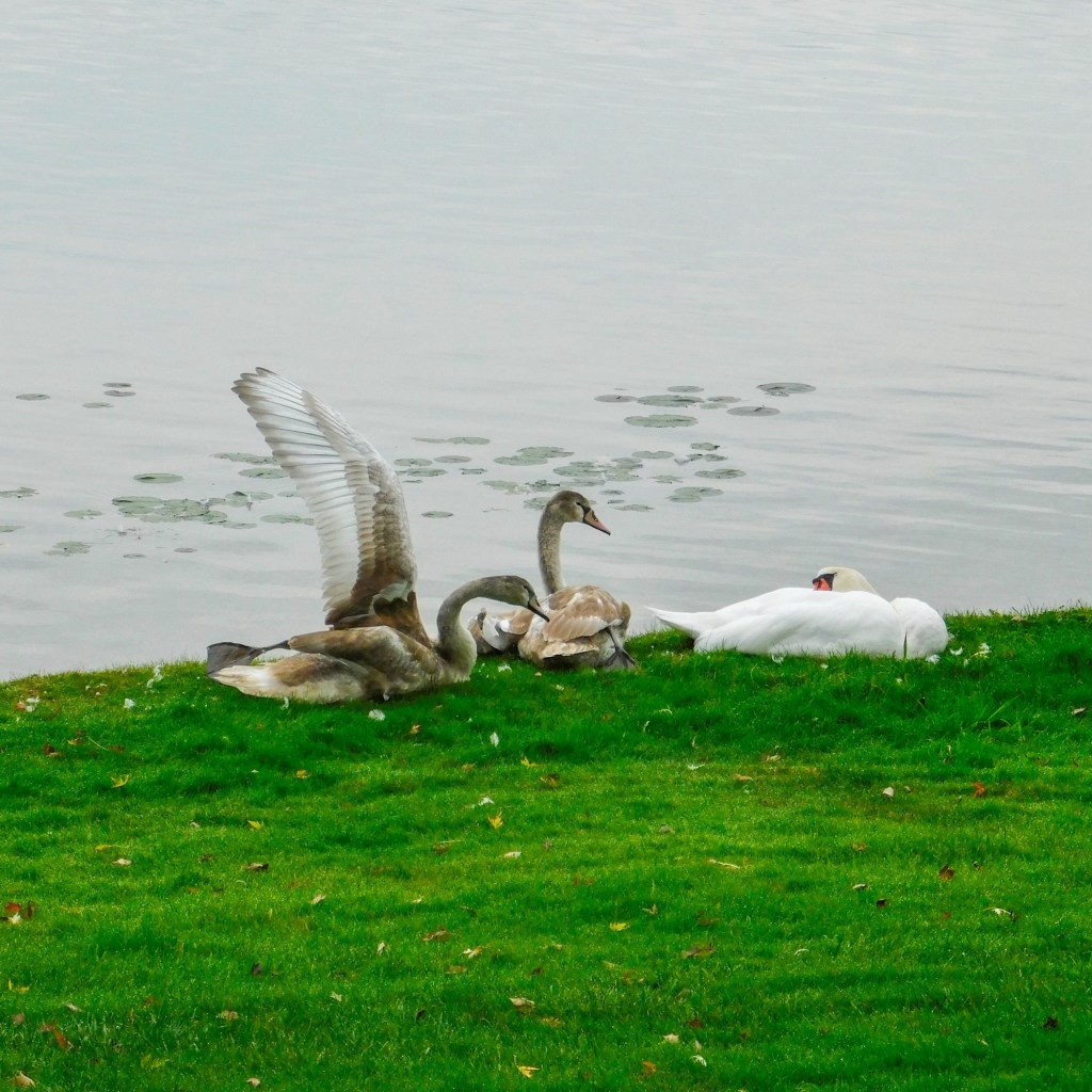 Fall Days And Good&nbsp;Movies