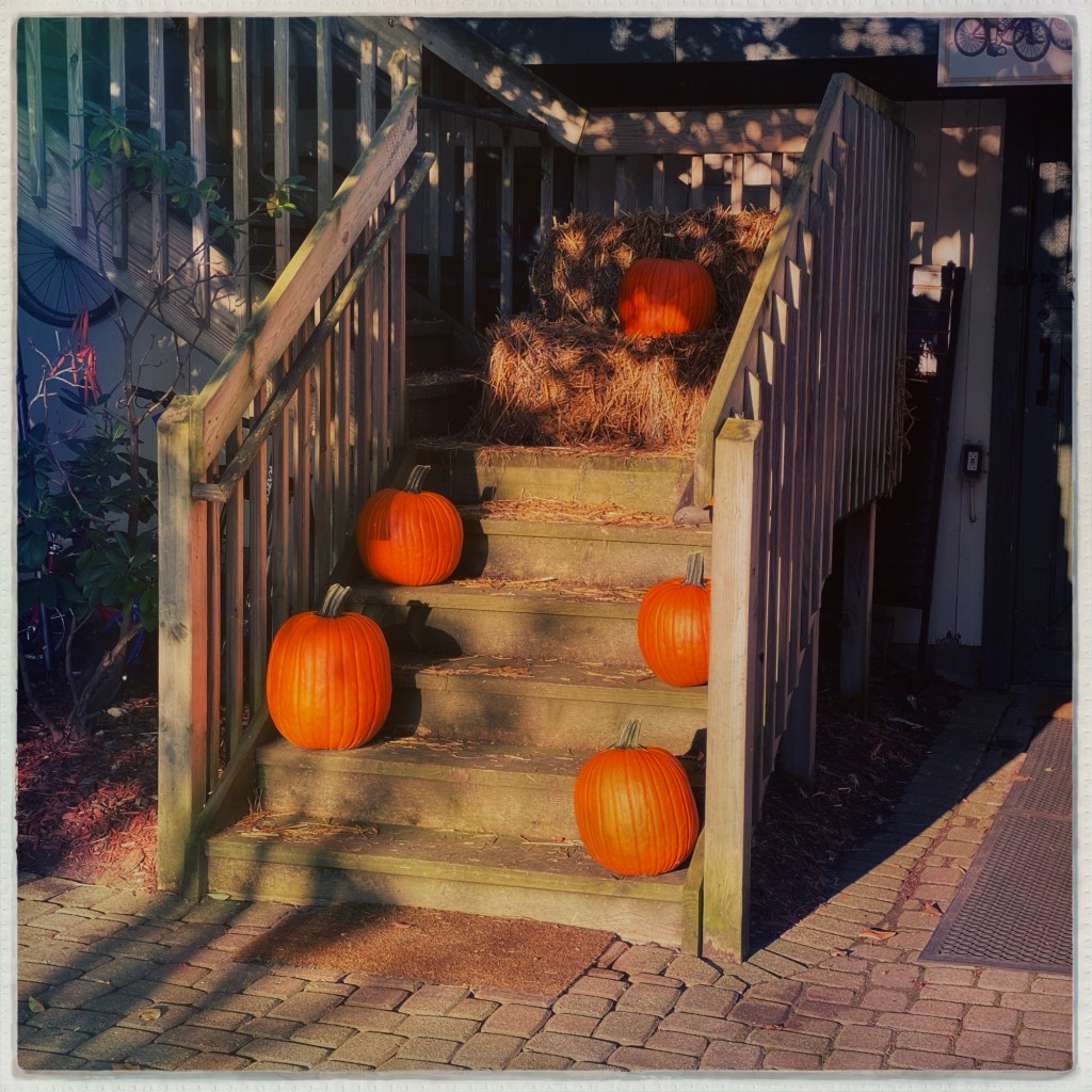 Trivial Tuesday – Apple Season or Pumpkin&nbsp;Season?