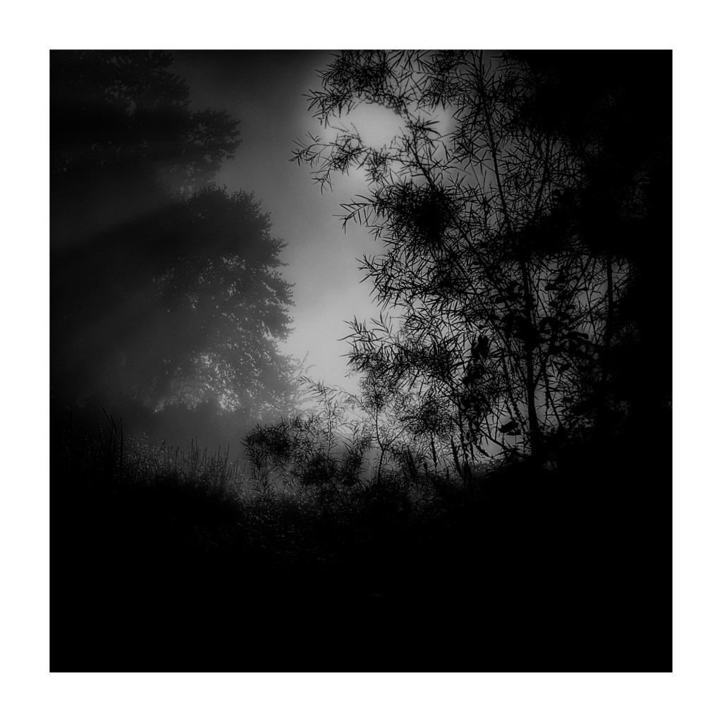 Fall Mornings And Good&nbsp;Movies