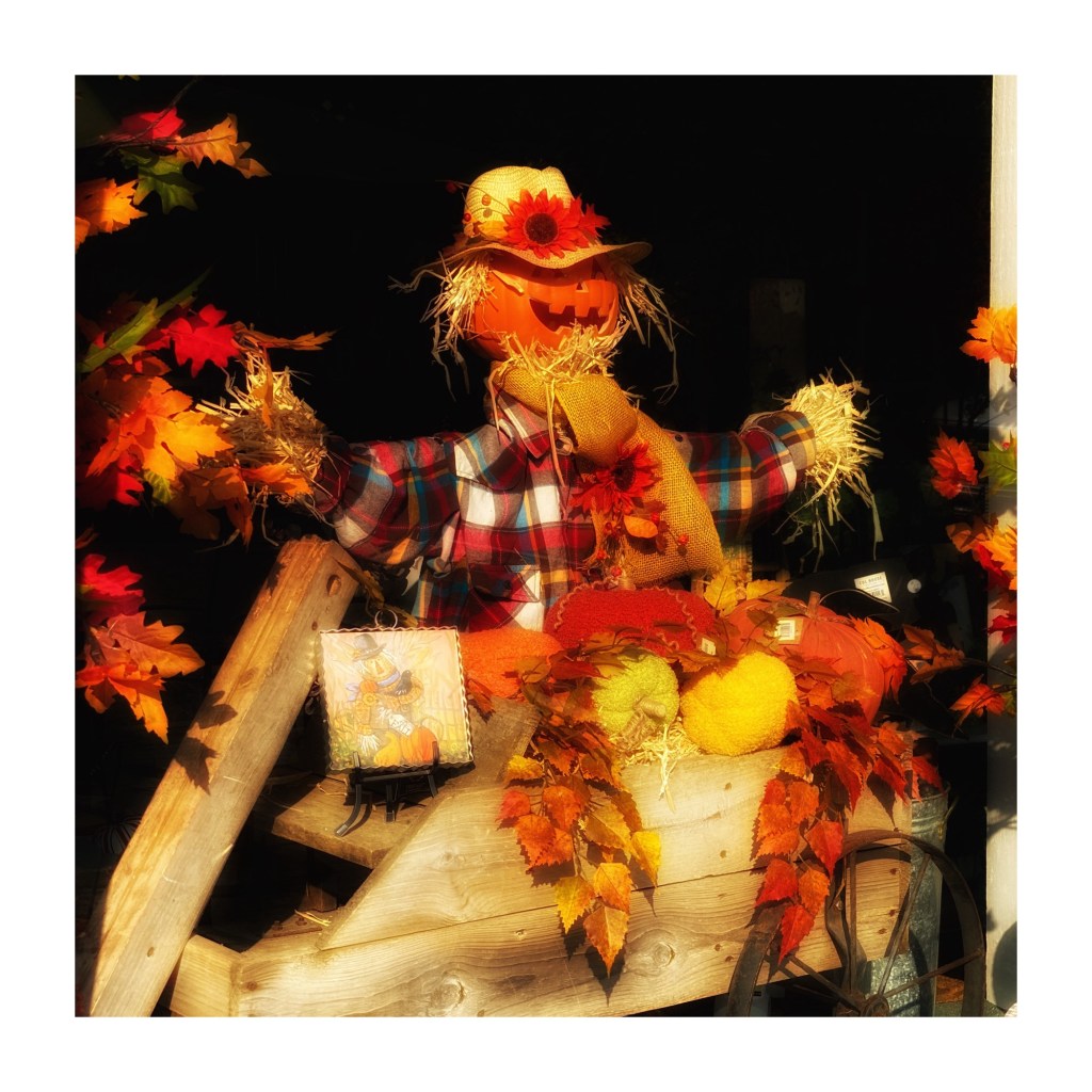 Fall Mornings And Good Movies And&nbsp;Books