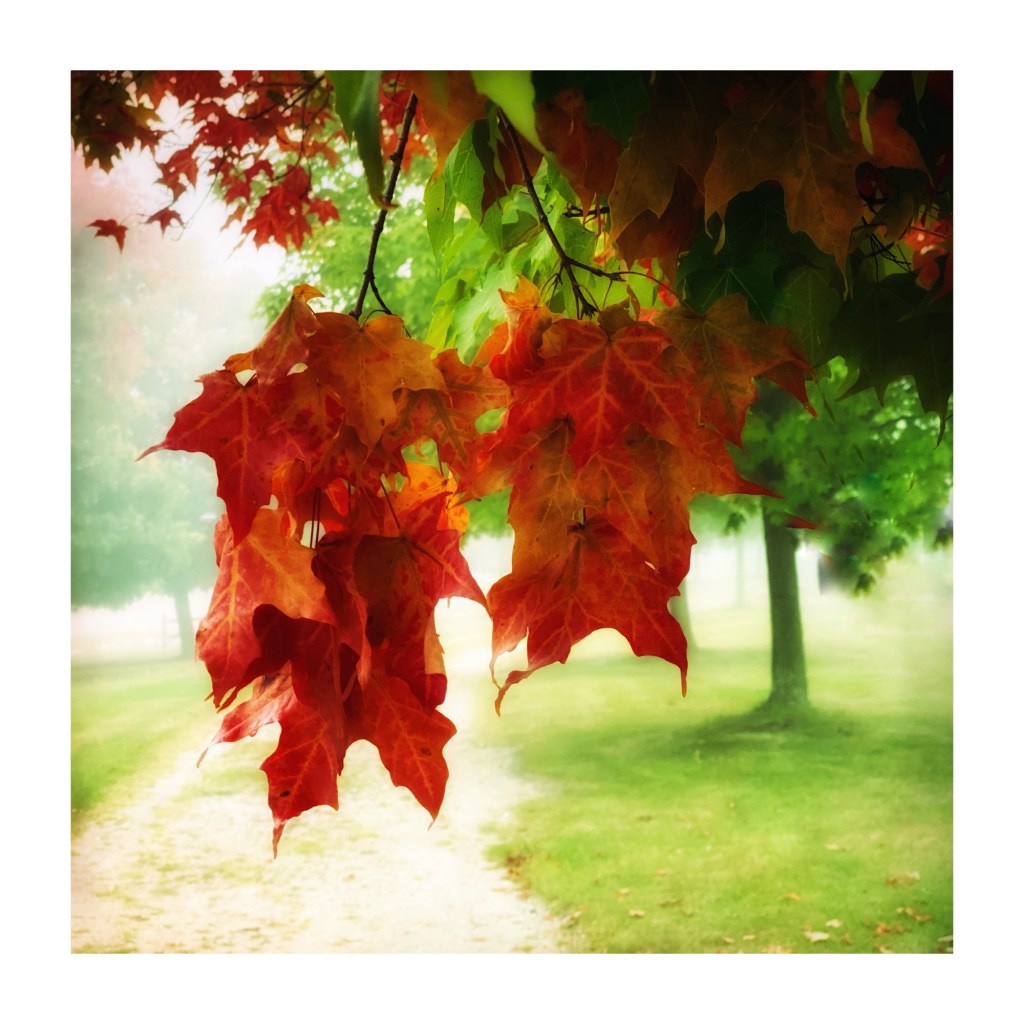 Fall Mornings And Good TV&nbsp;Shows