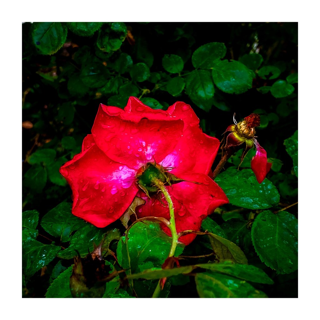 Fall Mornings And Good TV&nbsp;Shows