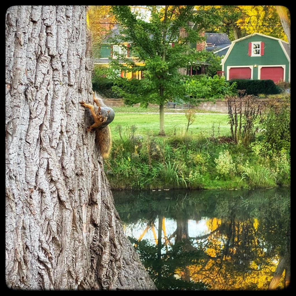 See You Soon, Taking A Blogging Break While I&nbsp;Recharge