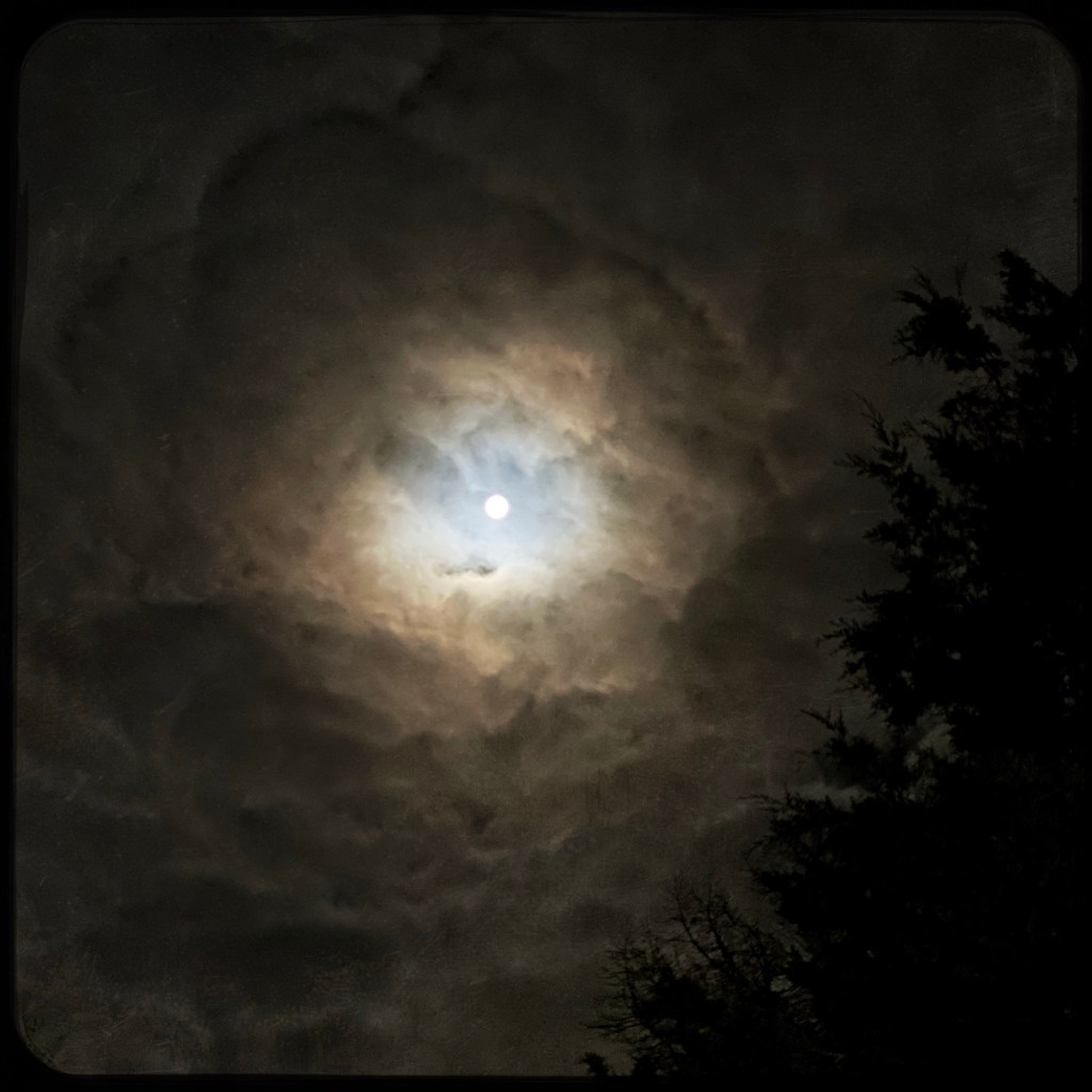 A Very Tired Moon&nbsp;Child