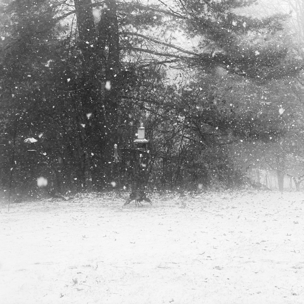 Fall Days And Good TV&nbsp;Shows