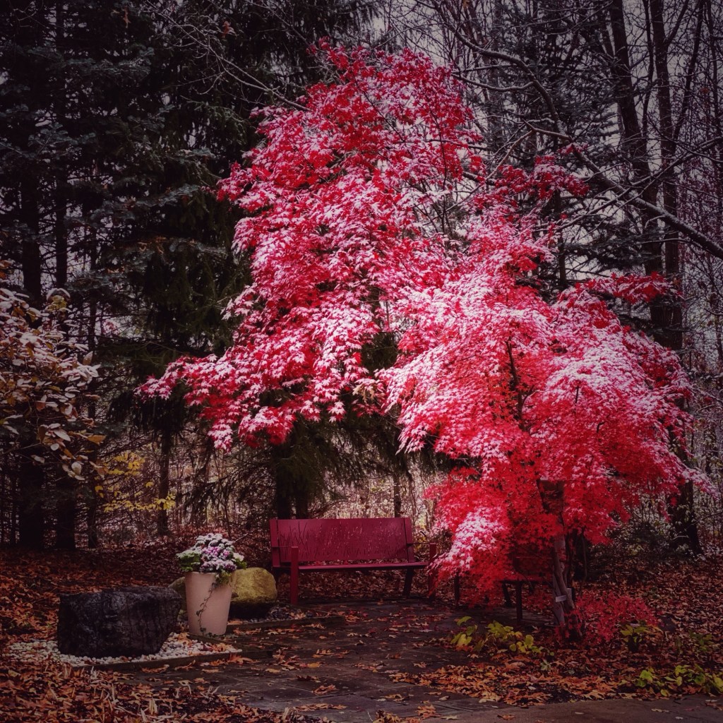 A Dusting Of&nbsp;Snow