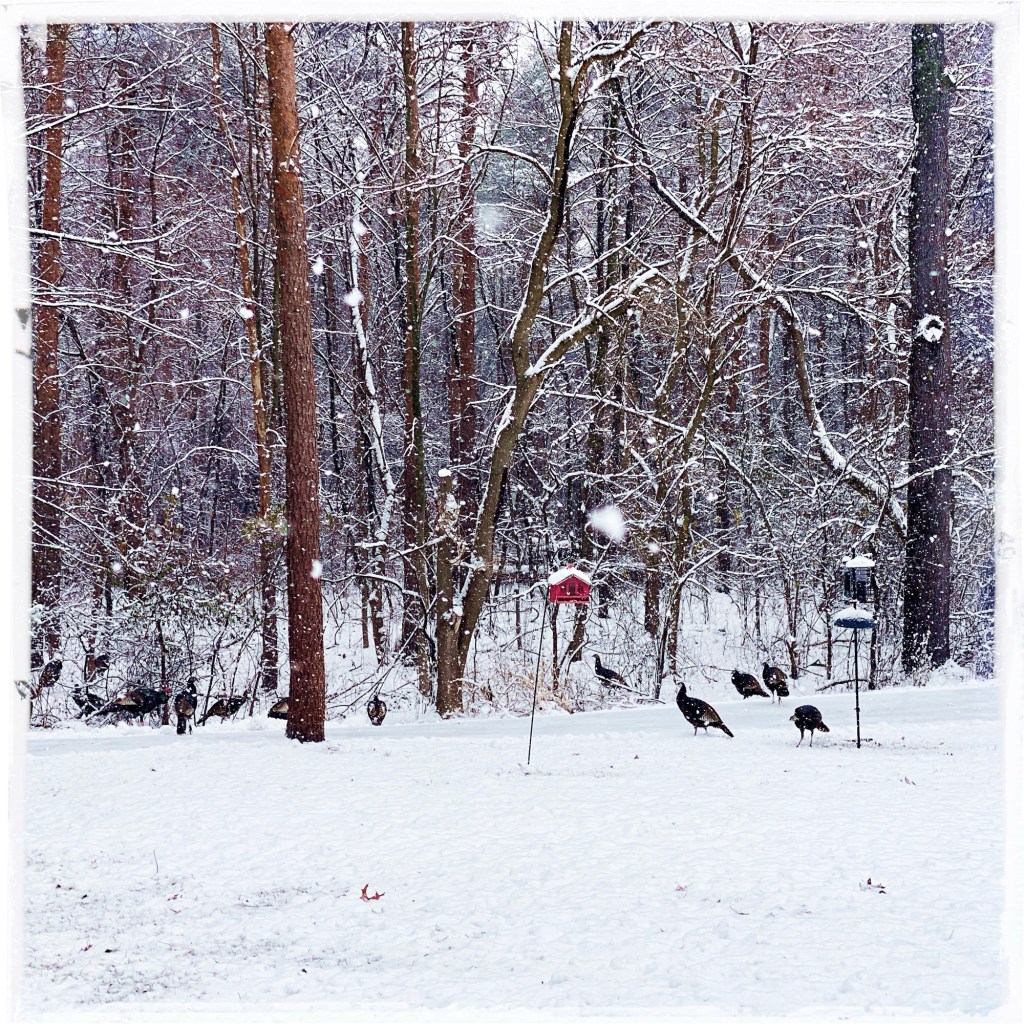 Winter Days And Good TV Shows