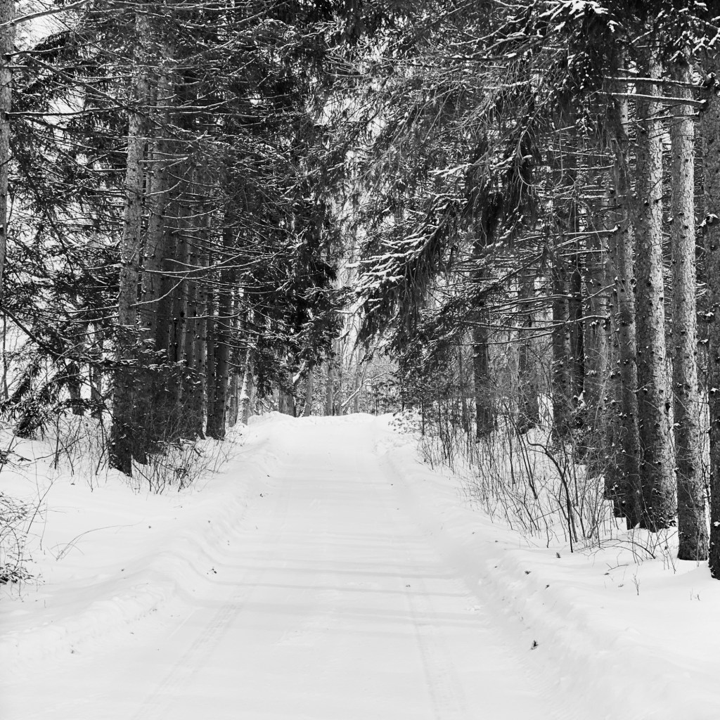 Winter Days And Increasing Steps (But Not On This Hill Until Spring)
