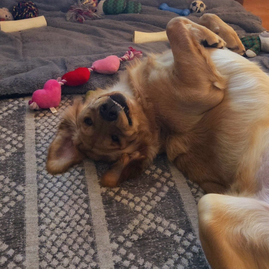 Winter Days And Good&nbsp;Music