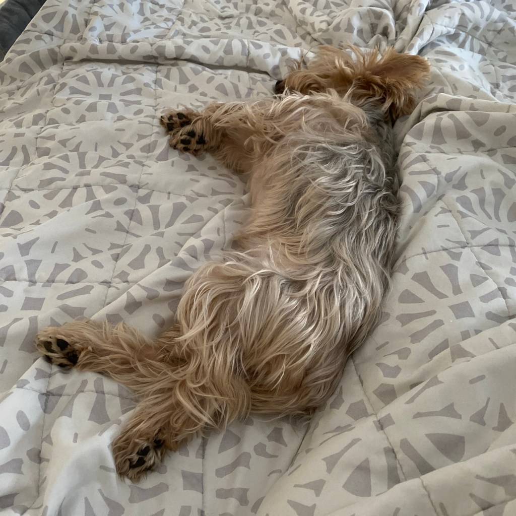 It’s Going To Be A Lazy&nbsp;Weekend