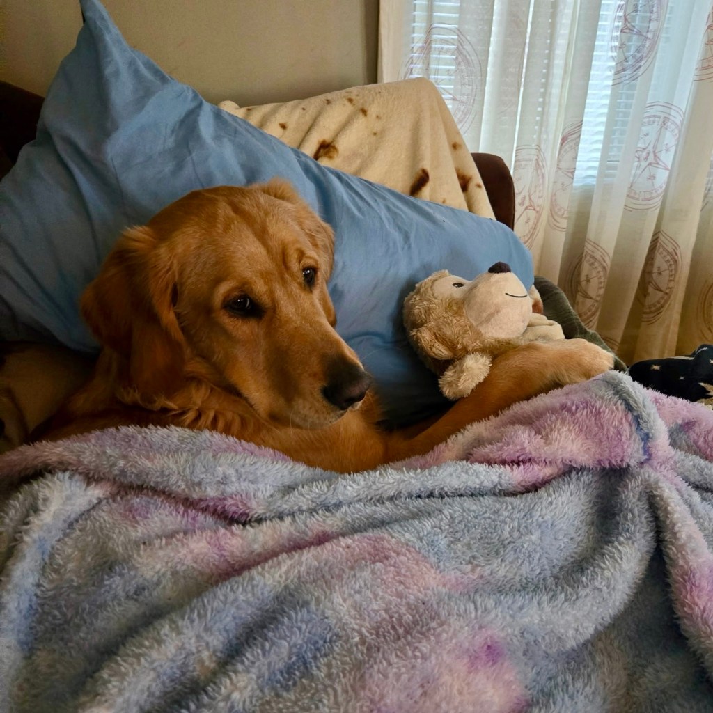Winter Days And Good&nbsp;Books
