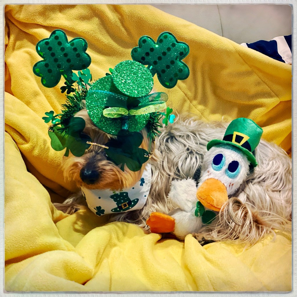 Happy St. Patrick’s&nbsp;Day