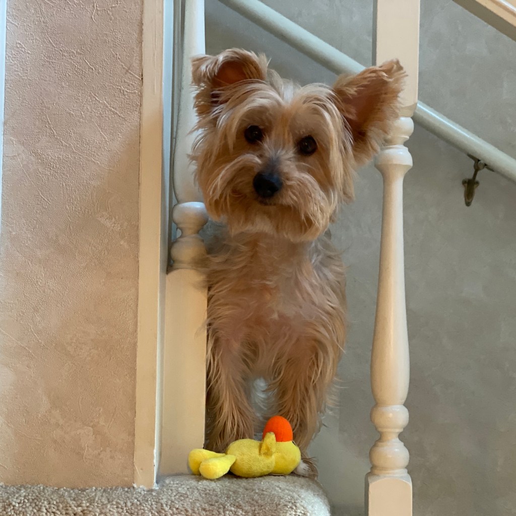 Winter Days And Good TV Shows