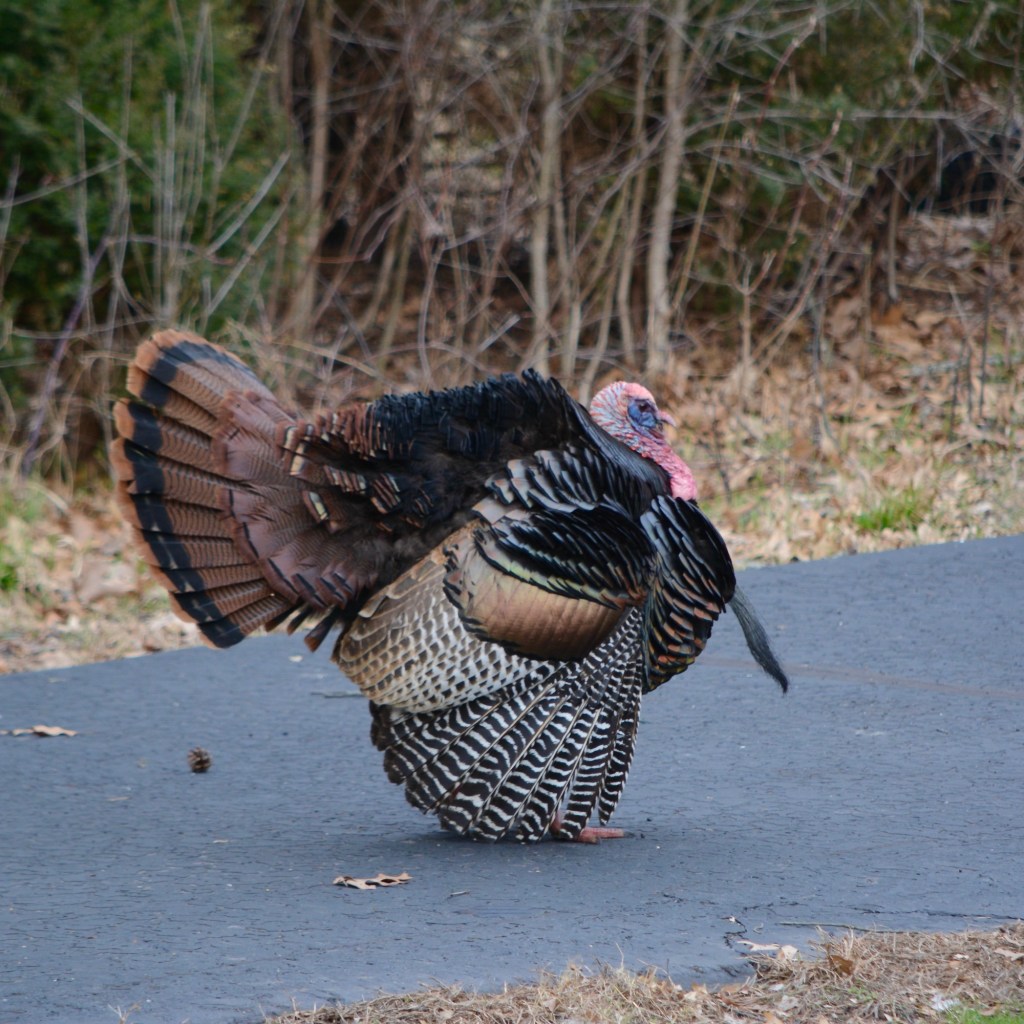 Spring Days That Still Feel Like&nbsp;Winter