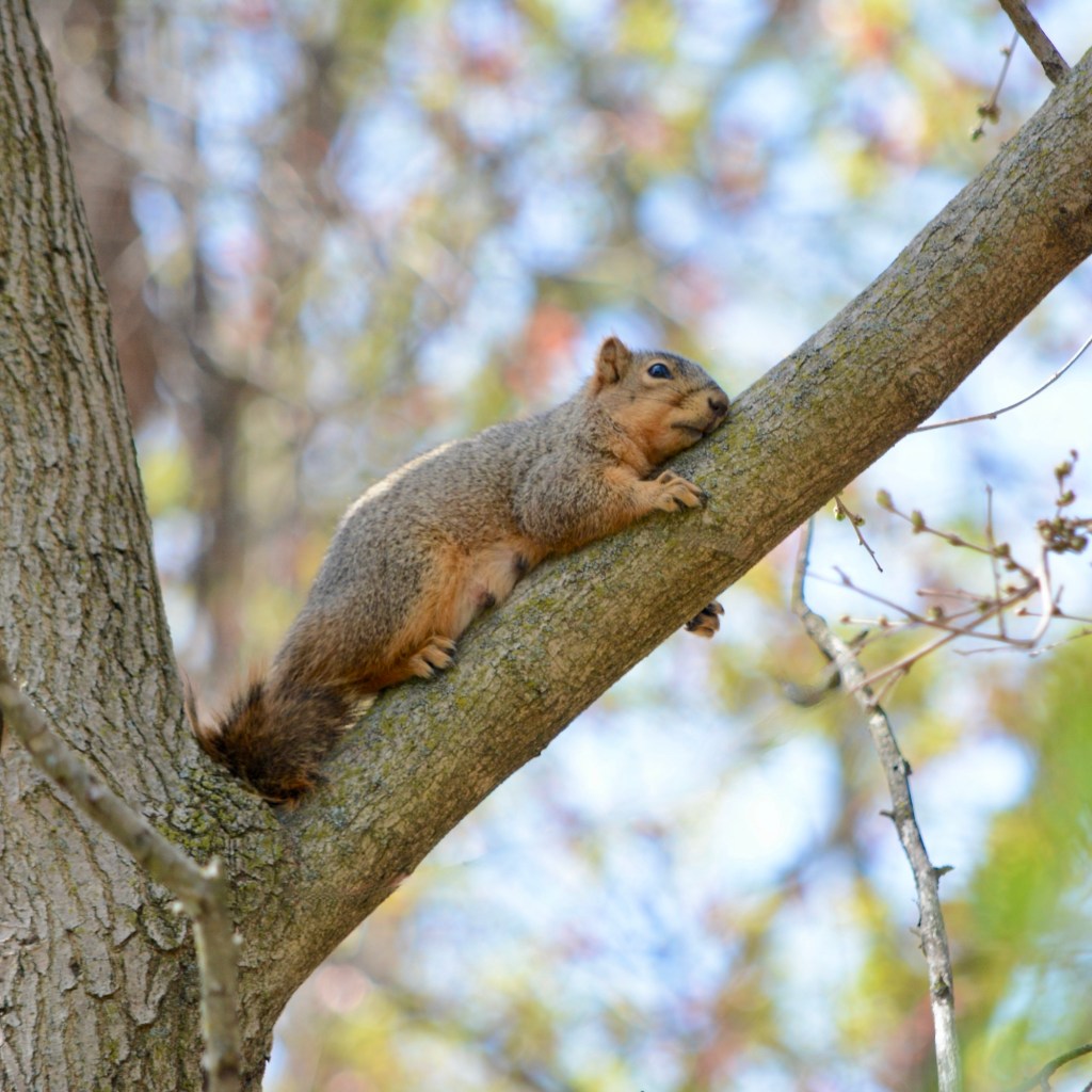 Spring Days And Good&nbsp;Quotes