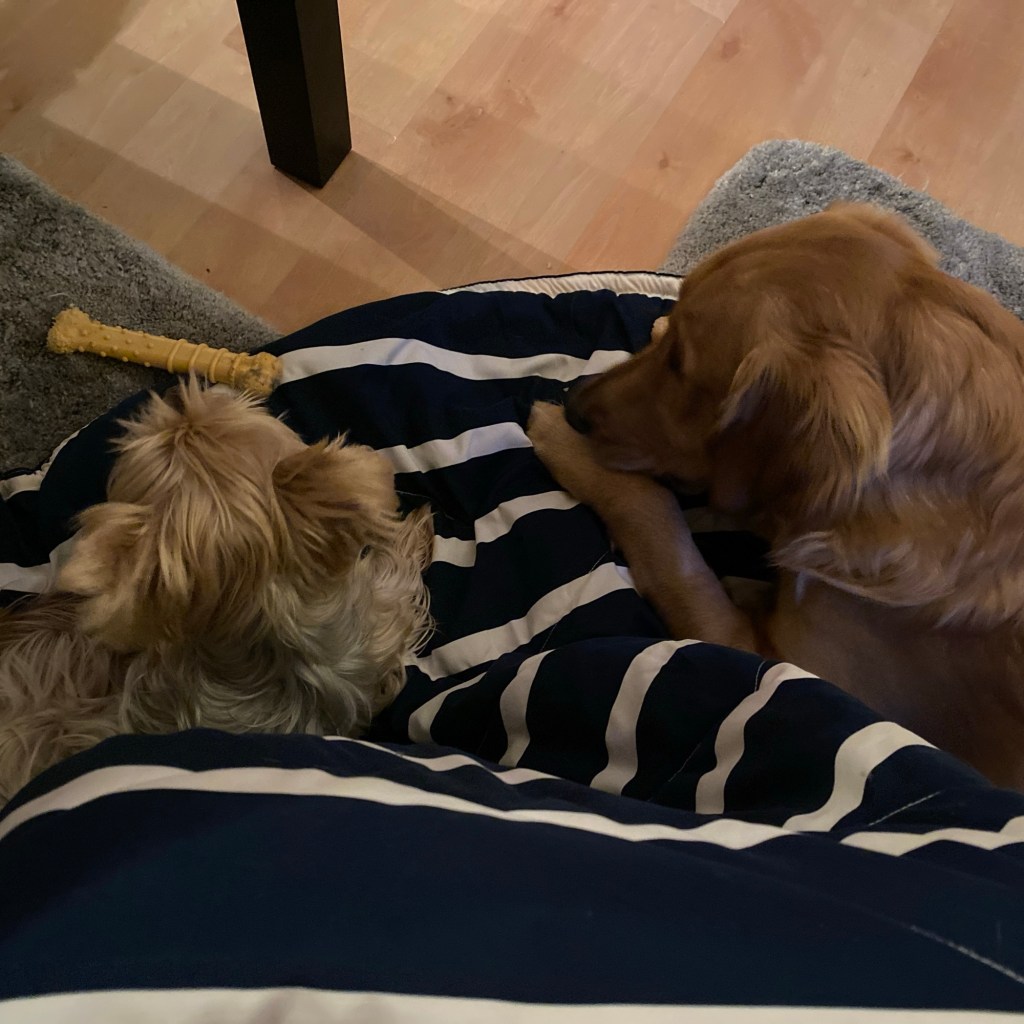 It’s A New&nbsp;Day