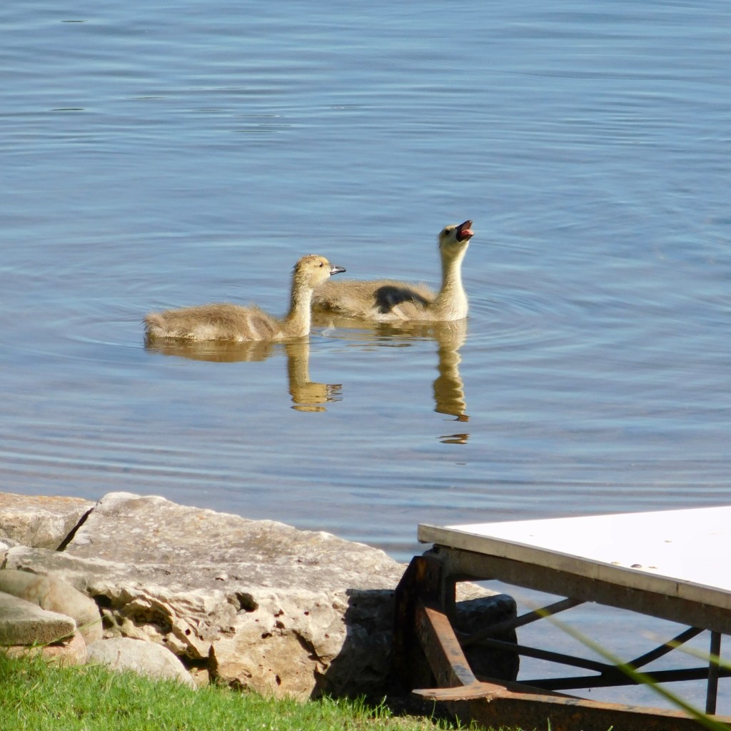 Spring Mornings And Good TV&nbsp;Shows