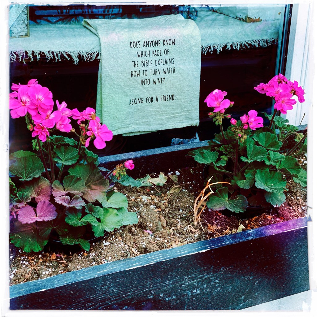 Spring Mornings And A Great Coffee and&nbsp;Song