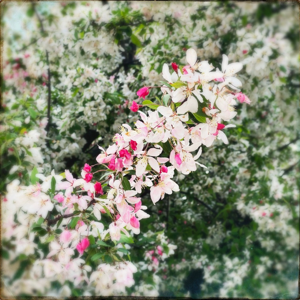 Captured In A Parking Lot Before An&nbsp;Appointment