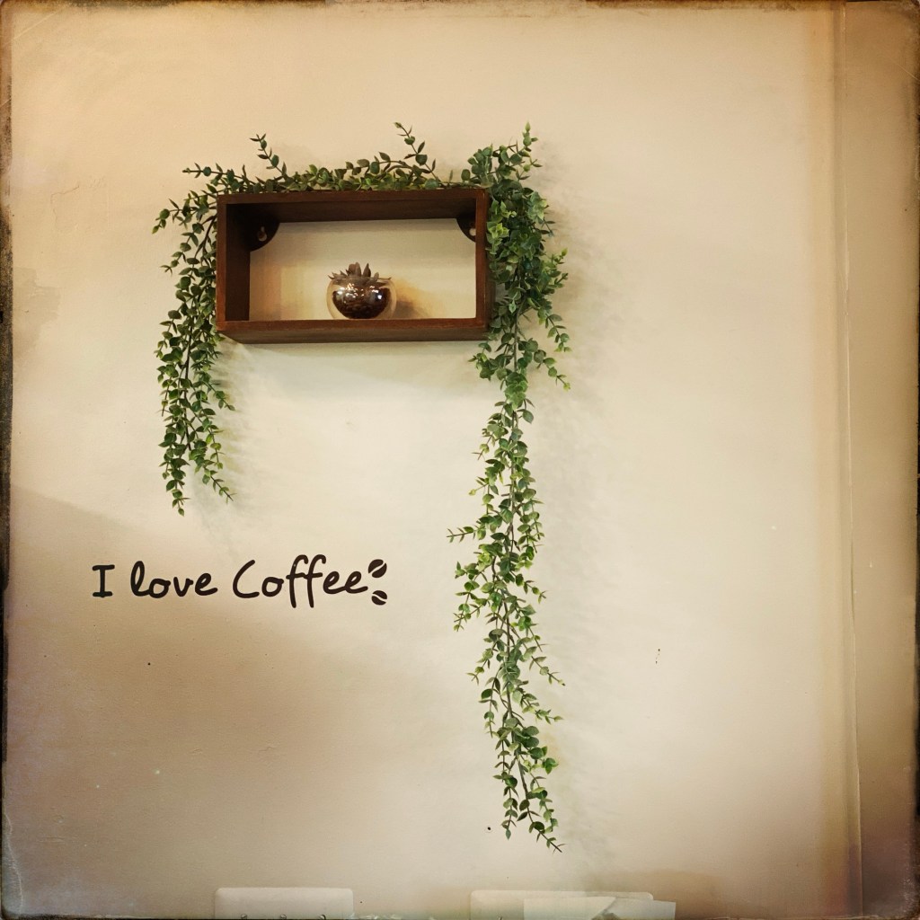 Spring Mornings And Good&nbsp;Songs