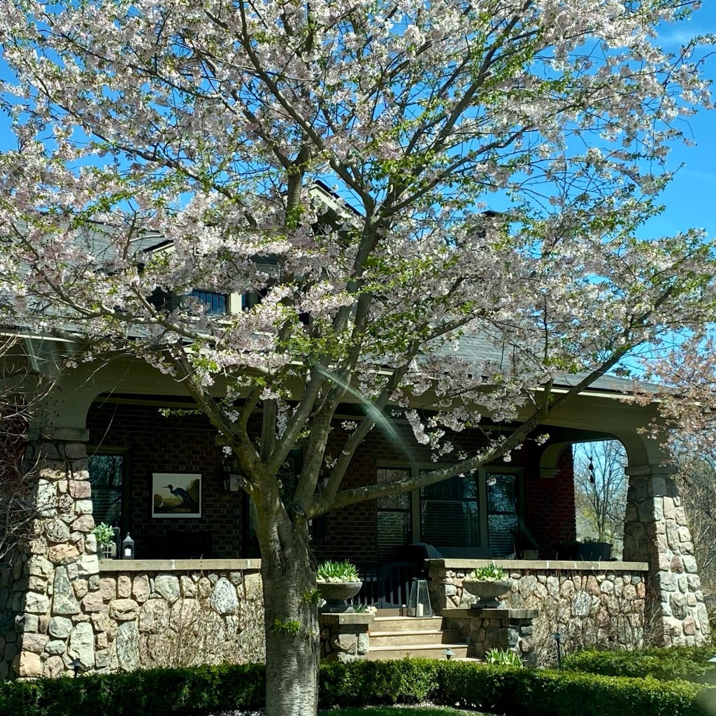 Spring Days And Good&nbsp;Music