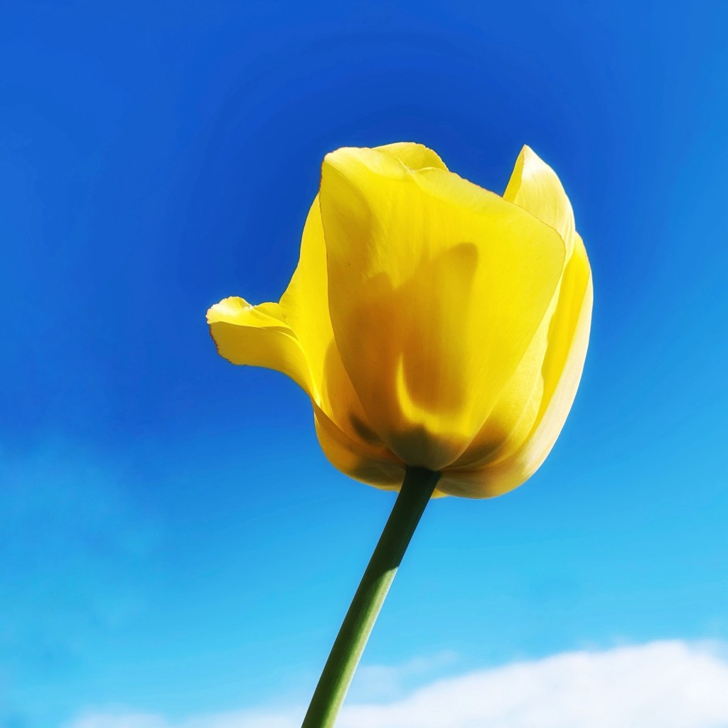 Spring Mornings And Good&nbsp;Music