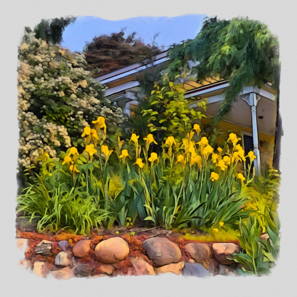 Summer Mornings And Good TV&nbsp;Shows